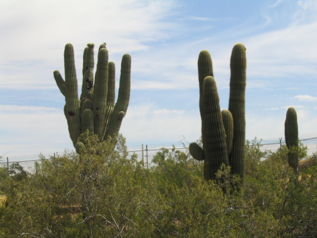 618x457 pixels (161K)